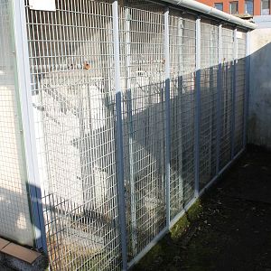 Small parrot aviaries