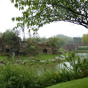 Gorilla Mountain, September 2016