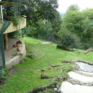 Asiatic Lion enclosure, September 2016