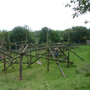 Chimp enclosure, September 2016