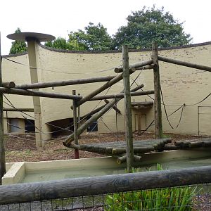Orangutan enclosure, September 2016