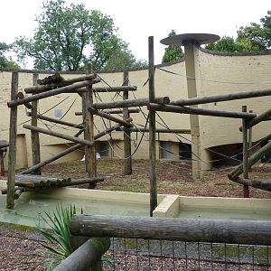 Orangutan enclosure, September 2016