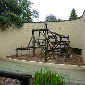 Orangutan enclosure, September 2016