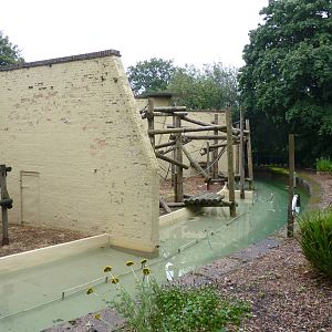 Orangutan enclosure, September 2016