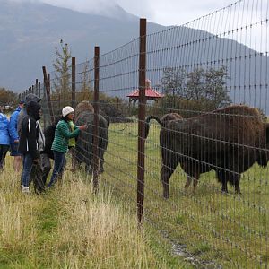 no guard rails anywhere