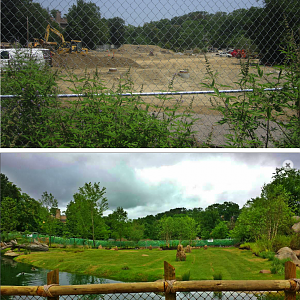 Before and After of the African Plains - Same Perspective