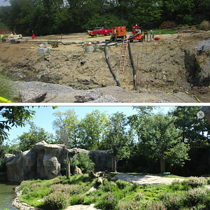 Before and After of the Lion Exhibit - Same Perspective