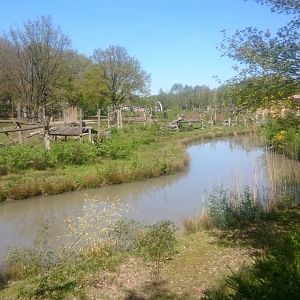Chimp island near the entrance