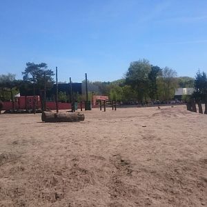 Mixed Elephant and Baboon enclosure