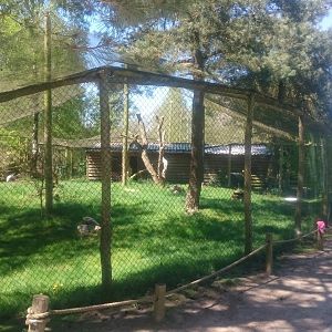 Secretary bird aviary