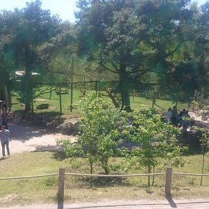 Ground hornbill and Vulture aviary