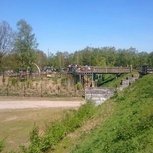 Bridge over Hoofstock enclosure