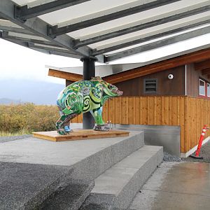 new bear education building