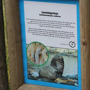 Info-sign South American fur seal