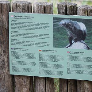 Sign South American fur seal