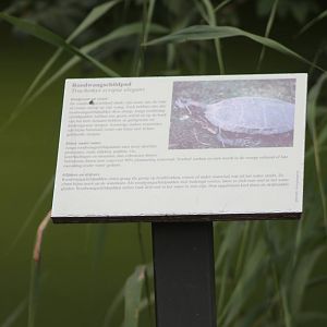 Sign Red-eared slider