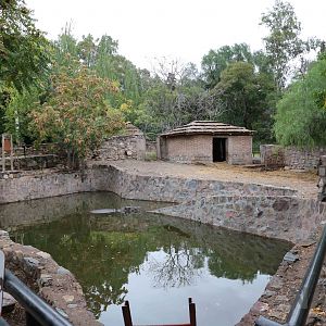 Hippo enclosure - Mendoza Zoo, April 2016