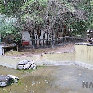Part of the capybara enclosure - Mendoza Zoo, April 2016