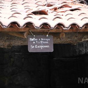 A sign for me? - Mendoza Zoo, April 2016