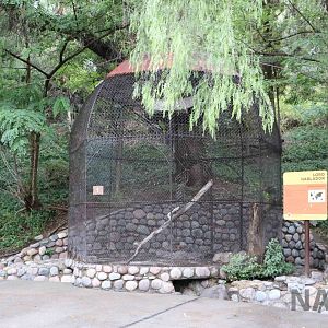 Amazon parrot aviary - Mendoza Zoo, April 2016