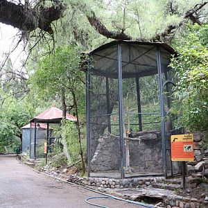 Aviaries - Mendoza Zoo, April 2016