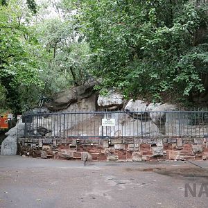 Bear grotto - Mendoza Zoo, April 2016