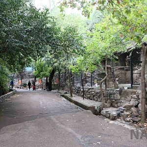 Raptor aviaries - Mendoza Zoo, April 2016