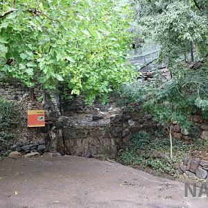 Dove aviary - Mendoza Zoo, April 2016