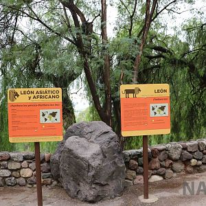 Lion signs - Mendoza Zoo, April 2016