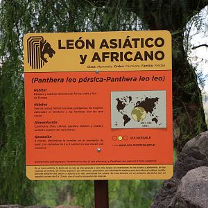 Subspecific lion sign (perhaps a bit confusing?) - Mendoza Zoo, April 2016