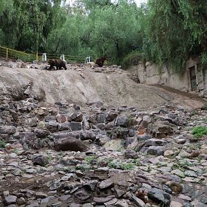 Bear enclosure - Mendoza Zoo, April 2016