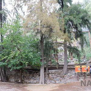 Condor aviary - Mendoza Zoo, April 2016
