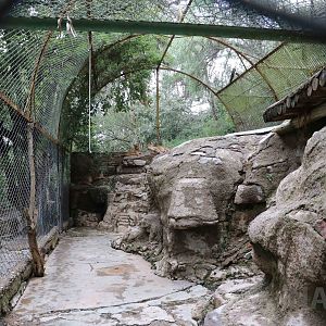 Puma enclosure - Mendoza Zoo, April 2016