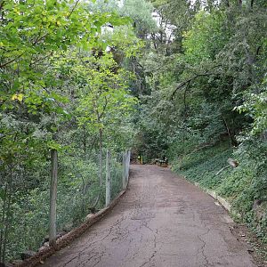 Path - Mendoza Zoo, April 2016