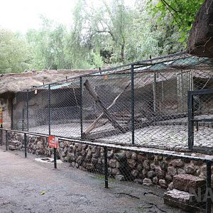 Puma enclosures - Mendoza Zoo, April 2016