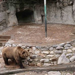 Bear enclosure - Mendoza Zoo, April 2016