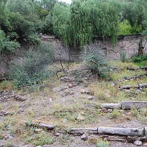 Lion enclosure - Mendoza Zoo, April 2016