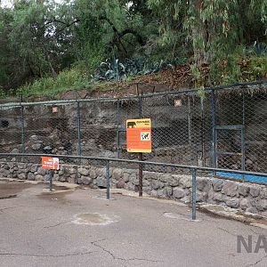 Bear enclosure - Mendoza Zoo, April 2016