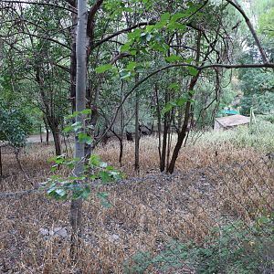 Brown brocket deer enclosure - Mendoza Zoo, April 2016