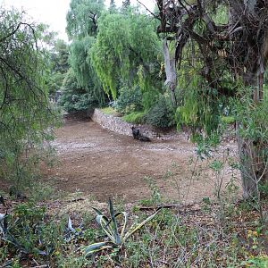 Water buffalo paddock - Mendoza Zoo, April 2016