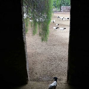 Giraffe house? - Mendoza Zoo, April 2016