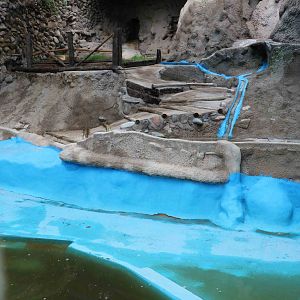 Polar bear enclosure - Mendoza Zoo, April 2016