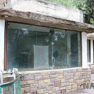 Chimpanzee viewing window - Mendoza Zoo, April 2016