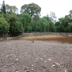 Eland enclosure - Mendoza Zoo, April 2016