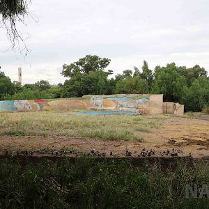 African elephant enclosure - Mendoza Zoo, April 2016