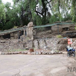 Tiger enclosures - Mendoza Zoo, April 2016