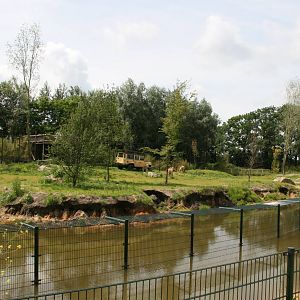 Lion enclosure