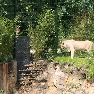 keeping an eye on the works