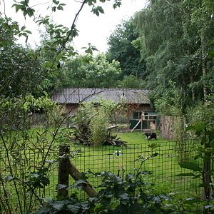 newly build seccond giant anteater enclosure