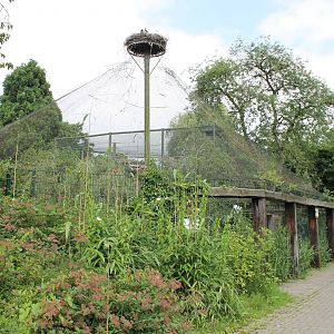 Stork and heron aviary
